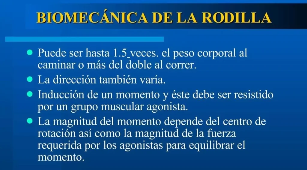 biomecánica de la rodilla